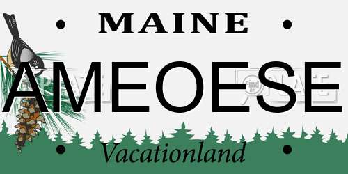 AMEOESE Maine License Plate