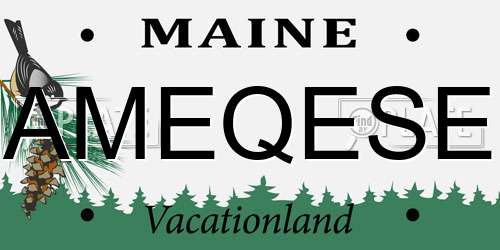 AMEQESE Maine License Plate