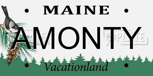 AMONTY Maine License Plate