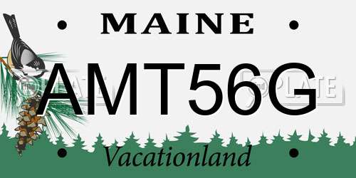 AMT56G Maine License Plate