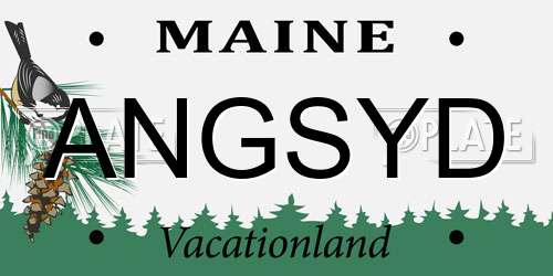 ANGSYD Maine License Plate
