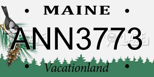 ANN3773 Maine License Plate
