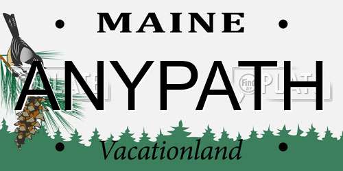 ANYPATH Maine License Plate