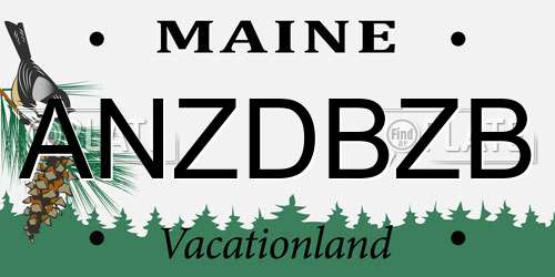 ANZDBZB Maine License Plate