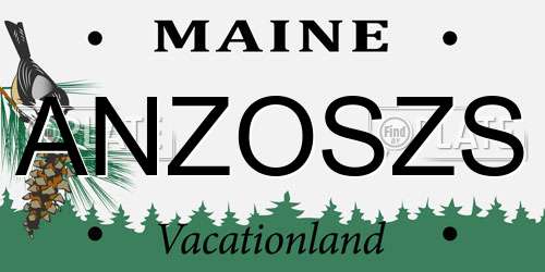 ANZOSZS Maine License Plate