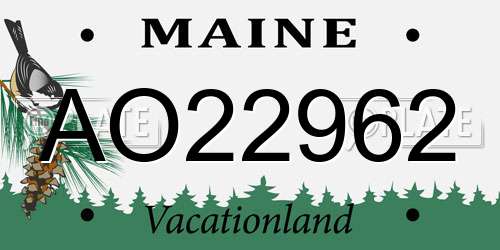 AO22962 Maine License Plate