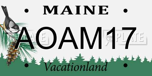 AOAM17 Maine License Plate
