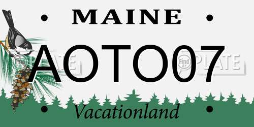 AOTO07 Maine License Plate