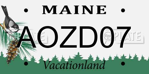 AOZD07 Maine License Plate