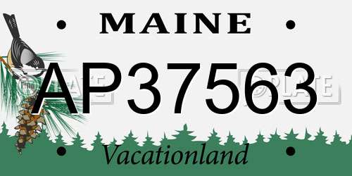 AP37563 Maine License Plate
