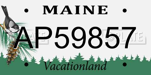 AP59857 Maine License Plate