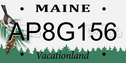 AP8G156 Maine License Plate