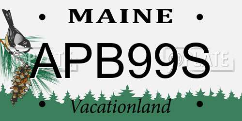 APB99S Maine License Plate