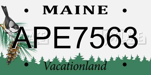 APE7563 Maine License Plate