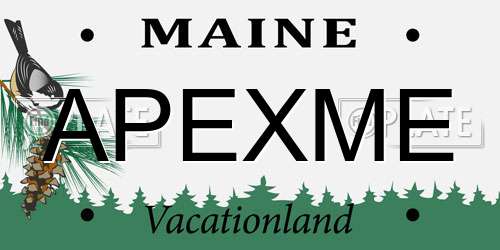 APEXME Maine License Plate