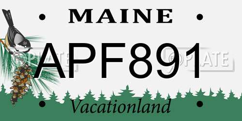 APF891 Maine License Plate