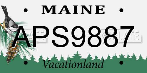 APS9887 Maine License Plate