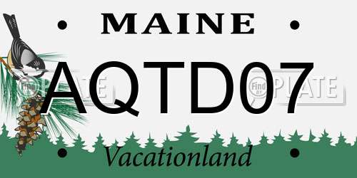 AQTD07 Maine License Plate