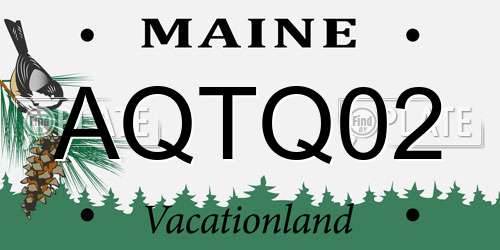 AQTQ02 Maine License Plate