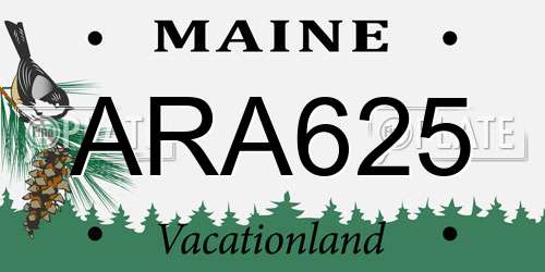 ARA625 Maine License Plate