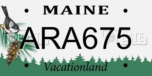 ARA675 Maine License Plate