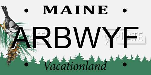 ARBWYF Maine License Plate