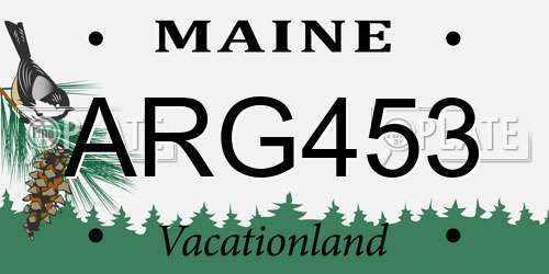ARG453 Maine License Plate