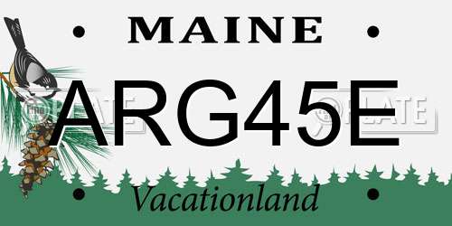 ARG45E Maine License Plate