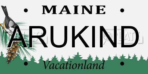 ARUKIND Maine License Plate
