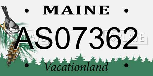 AS07362 Maine License Plate