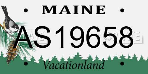 AS19658 Maine License Plate