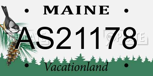 AS21178 Maine License Plate