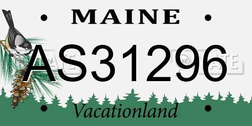 AS31296 Maine License Plate