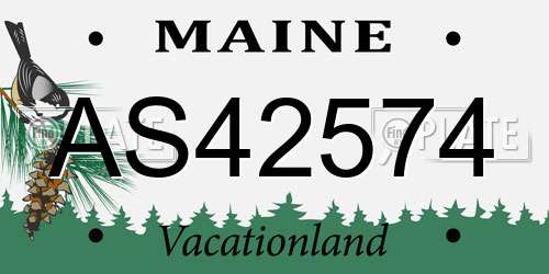AS42574 Maine License Plate