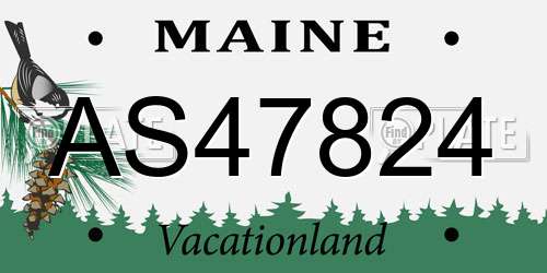 AS47824 Maine License Plate