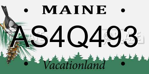 AS4Q493 Maine License Plate