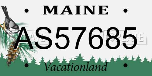 AS57685 Maine License Plate