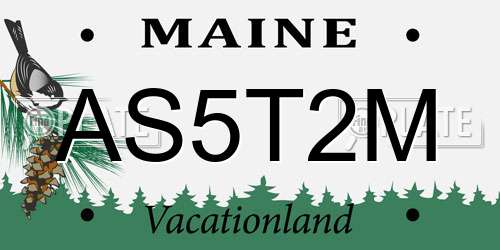 AS5T2M Maine License Plate