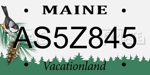 AS5Z845 Maine License Plate