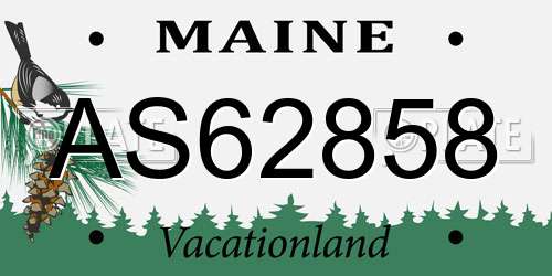 AS62858 Maine License Plate