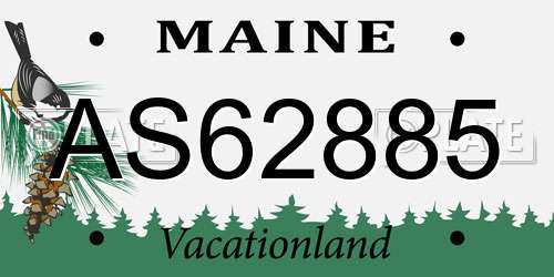 AS62885 Maine License Plate