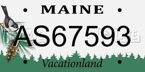 AS67593 Maine License Plate