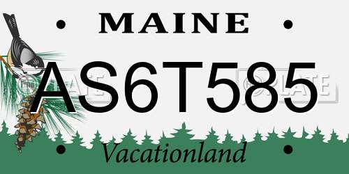 AS6T585 Maine License Plate
