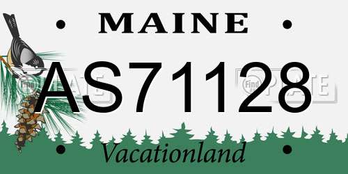 AS71128 Maine License Plate