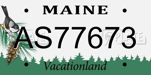 AS77673 Maine License Plate