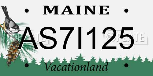 AS7I125 Maine License Plate
