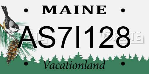 AS7I128 Maine License Plate