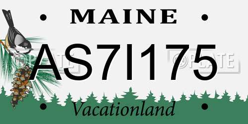AS7I175 Maine License Plate