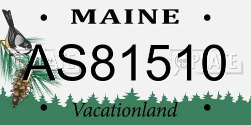 AS81510 Maine License Plate