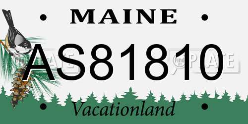 AS81810 Maine License Plate